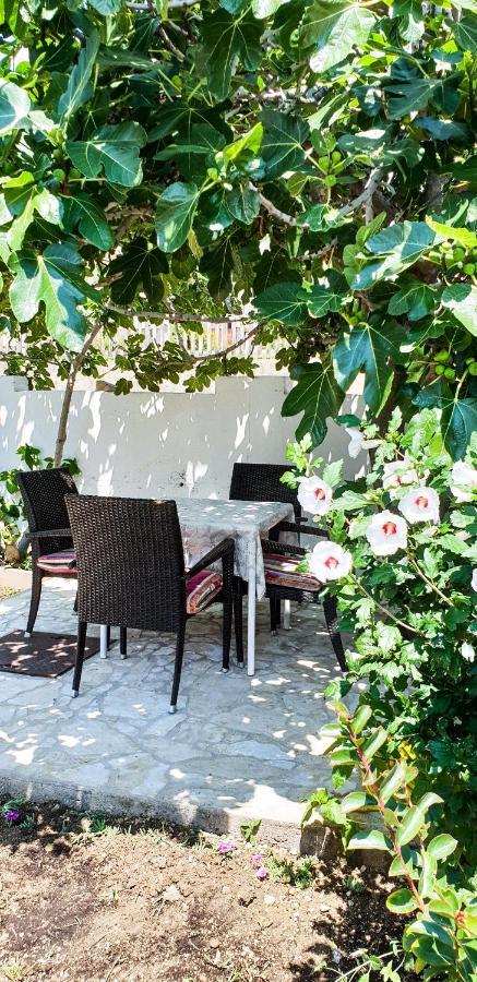 Apartments Benkovic باشْكا المظهر الخارجي الصورة